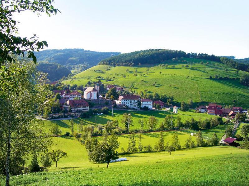 Gasthaus Zum Wilden Mann Welschensteinach Exterior photo